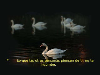   *       Lo que las otras personas piensen de ti, no te incumbe.  