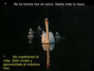 *       No te tomes tan en serio. Nadie más lo hace.        *       No cuestiones la vida. Sólo vívela y aprovéchala al máximo hoy.                             
