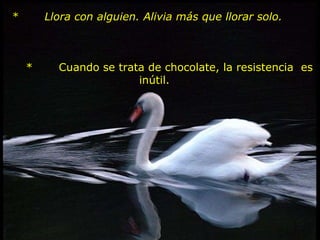 *       Llora con alguien. Alivia más que llorar solo.         *       Cuando se trata de chocolate, la resistencia  es inútil.    