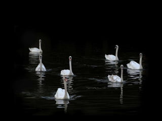 *       Si una relación tiene que ser secreta, mejor no tenerla.  