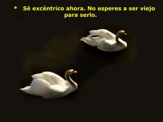     *   Sé excéntrico ahora. No esperes a ser viejo para serlo.  