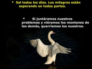       *  Sal todos los días. Los milagros están esperando en todas partes.    *       Si juntáramos nuestros problemas y viéramos los montones de los demás, querríamos los nuestros.   