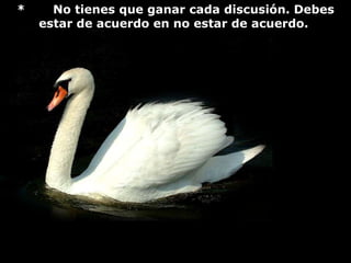 *       No tienes que ganar cada discusión. Debes estar de acuerdo en no estar de acuerdo.                                                       