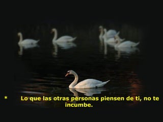   *       Lo que las otras personas piensen de ti, no te 
                      incumbe. 
 