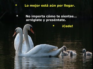 *       Lo mejor está aún por llegar.     


*       No importa cómo te sientas... 
        arréglate y preséntate. 

                             *       ¡Cede!       
             
 