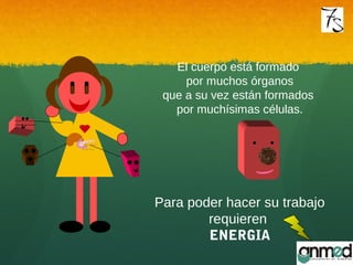 El cuerpo está formado
por muchos órganos
que a su vez están formados
por muchísimas células.
Para poder hacer su trabajo
requieren
ENERGIA
••
 