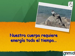 Nuestro cuerpo requiereNuestro cuerpo requiere
energía todo el tiempo…energía todo el tiempo…
 