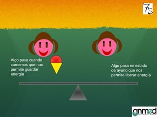 Algo pasa cuando
comemos que nos
permite guardar
energía
Algo pasa en estado
de ayuno que nos
permite liberar energía
 