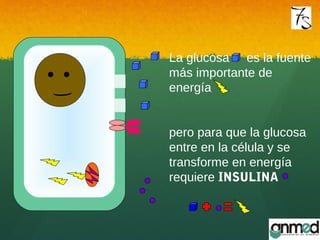 La glucosa es la fuente
más importante de
energía
pero para que la glucosa
entre en la célula y se
transforme en energía
requiere INSULINA
 