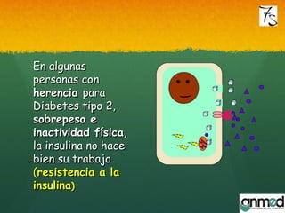 En algunasEn algunas
personas conpersonas con
herenciaherencia parapara
Diabetes tipo 2,Diabetes tipo 2,
sobrepeso esobrepeso e
inactividad físicainactividad física,,
la insulina no hacela insulina no hace
bien su trabajobien su trabajo
((resistencia a laresistencia a la
insulinainsulina))
 