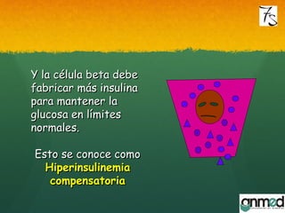 Y la célula beta debeY la célula beta debe
fabricar más insulinafabricar más insulina
para mantener lapara mantener la
glucosa en límitesglucosa en límites
normales.normales.
Esto se conoce comoEsto se conoce como
HiperinsulinemiaHiperinsulinemia
compensatoriacompensatoria
 