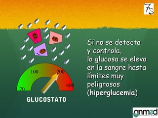 Si no se detectaSi no se detecta
y controla,y controla,
la glucosa se elevala glucosa se eleva
en la sangre hastaen la sangre hasta
límites muylímites muy
peligrosospeligrosos
((hiperglucemiahiperglucemia))
GLUCOSTATO
200100
70
400
 