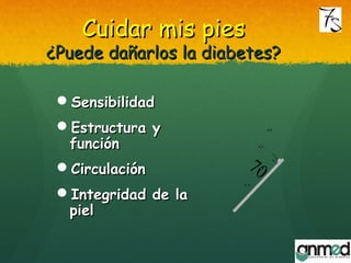 Cuidar mis piesCuidar mis pies
¿Puede dañarlos la diabetes?¿Puede dañarlos la diabetes?
7070
SensibilidadSensibilidad
Estructura yEstructura y
funciónfunción
CirculaciónCirculación
Integridad de laIntegridad de la
pielpiel
 