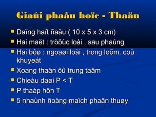 Giaûi phaãu hoïc - ThaänGiaûi phaãu hoïc - Thaän
 Daïng haït ñaäu ( 10 x 5 x 3 cm)Daïng haït ñaäu ( 10 x 5 x 3 cm)
 Hai maët : tröôùc loài , sau phaúngHai maët : tröôùc loài , sau phaúng
 Hai bôø : ngoaøi loài , trong loõm, coùHai bôø : ngoaøi loài , trong loõm, coù
khuyeátkhuyeát
 Xoang thaän ôû trung taâmXoang thaän ôû trung taâm
 Chieàu daøi P < TChieàu daøi P < T
 P thaáp hôn TP thaáp hôn T
 5 nhaùnh ñoäng maïch phaân thuøy5 nhaùnh ñoäng maïch phaân thuøy
 