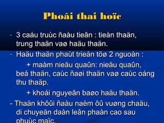 Phoâi thai hoïcPhoâi thai hoïc
- 3 caáu truùc ñaàu tieân : tieàn thaän,3 caáu truùc ñaàu tieân : tieàn thaän,
trung thaän vaø haäu thaän.trung thaän vaø haäu thaän.
- Haäu thaän phaùt trieån töø 2 nguoàn :Haäu thaän phaùt trieån töø 2 nguoàn :
+ maàm nieäu quaûn: nieäu quaûn,+ maàm nieäu quaûn: nieäu quaûn,
beå thaän, caùc ñaøi thaän vaø caùc oángbeå thaän, caùc ñaøi thaän vaø caùc oáng
thu thaäp.thu thaäp.
+ khoái nguyeân baøo haäu thaän.+ khoái nguyeân baøo haäu thaän.
- Thaän khôûi ñaàu naèm ôû vuøng chaäu,- Thaän khôûi ñaàu naèm ôû vuøng chaäu,
di chuyeån daàn leân phaàn cao saudi chuyeån daàn leân phaàn cao sau
 