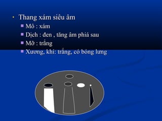 • Thang xám siêu âmThang xám siêu âm
 Mô : xámMô : xám
 Dịch : đen , tăng âm phiá sauDịch : đen , tăng âm phiá sau
 Mỡ : trắngMỡ : trắng
 Xương, khí: trắng, có bóng lưngXương, khí: trắng, có bóng lưng
 