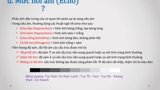 - Phản ánh đặc trưng của cơ quan khi phản xạ lại sóng siêu âm
- Trong siêu âm, thường dùng các thuật ngữ về echo như sau:
• Echo dày (Hyperechoic) = hình ảnh bóng trắng, tạo bóng lưng
• Echo kém (Hypoechoic) = hình ảnh xám > trắng
• Echo trống (Echofree) = hình ảnh bóng đen, không phản hồi
• Có hồi âm (Echogenic) = hình ảnh trắng > xám
- Trên thang độ xám, độ hồi âm các cấu trúc được mô tả:
 Tăng hồi âm: độ xám  so với cấu trúc nền xung quanh hoặc so với tình trạng bình thường
 Giảm hồi âm: độ xám  so với cấu trúc nền xung quanh hoặc so với tình trạng bình thường
 Không có hồi âm: cấu trúc không tạo được sóng phản hồi  độ xám rất thấp, thậm chí là màu đen
d. Mức hồi âm (Echo)
?
Bàng quang-Tủy thận-Vỏ thận-Lách –Tụy TE- Gan- Tụy NL- Xoang
thận- Cơ hoành
 