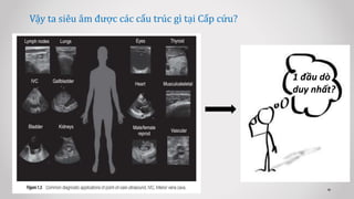 Vậy ta siêu âm được các cấu trúc gì tại Cấp cứu?
1 đầu dò
duy nhất?
 