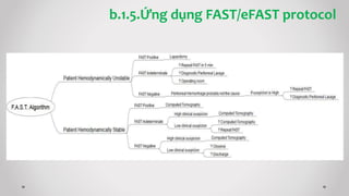 b.1.5.Ứng dụng FAST/eFAST protocol
 