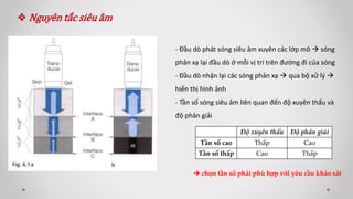 Nguyên tắc siêu âm
- Đầu dò phát sóng siêu âm xuyên các lớp mô  sóng
phản xạ lại đầu dò ở mỗi vị trí trên đường đi của sóng
- Đầu dò nhận lại các sóng phản xạ  qua bộ xử lý 
hiển thị hình ảnh
- Tần số sóng siêu âm liên quan đến độ xuyên thấu và
độ phân giải
Độ xuyên thấu Độ phân giải
Tần số cao Thấp Cao
Tần số thấp Cao Thấp
 chọn tần số phải phù hợp với yêu cầu khảo sát
 