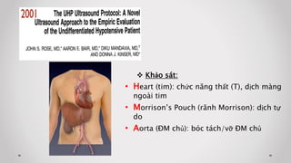  Khảo sát:
• Heart (tim): chức năng thất (T), dịch màng
ngoài tim
• Morrison’s Pouch (rãnh Morrison): dịch tự
do
• Aorta (ĐM chủ): bóc tách/vỡ ĐM chủ
 