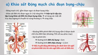 - Động mạch chủ gồm đoạn ngực và đoạn bụng chậu
- Khảo sát ĐM chủ đoạn ngực là 1 kỹ năng khó  hiện tại ở cấp cứu
tập trung khảo sát ĐM chủ đoạn bụng-chậu  sử dụng các mặt cắt
trục dọc/ngang di chuyển từ vùng thượng vị  vùng chậu
a) Khảo sát Động mạch chủ đoạn bụng-chậu
- Khoảng 90% phình ĐM chủ bụng nằm ở đoạn dưới
chỗ chia ĐM thận (khoảng 75% vỡ sau phúc mạc)
- Gọi là phình khi:
 Đường kính ĐM chủ bụng > 3cm
 Đường kính ĐM chậu chung > 1,5cm
 Nếu huyết động BN không ổn định kèm SA nghĩ
có phình ĐM chủ thì nên nghĩ đến nứt vỡ ĐM chủ
 