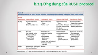 b.2.3.Ứng dụng của RUSH protocol
 