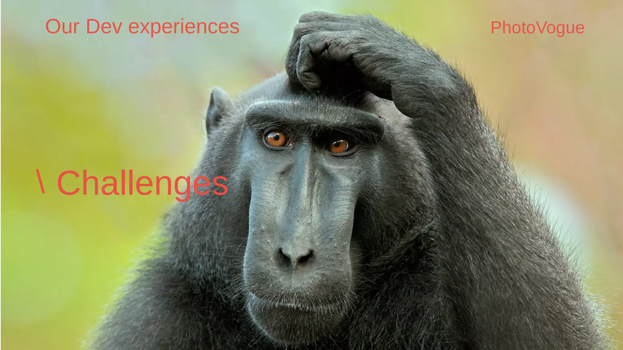 Challenges
Our Dev experiences PhotoVogue
 
