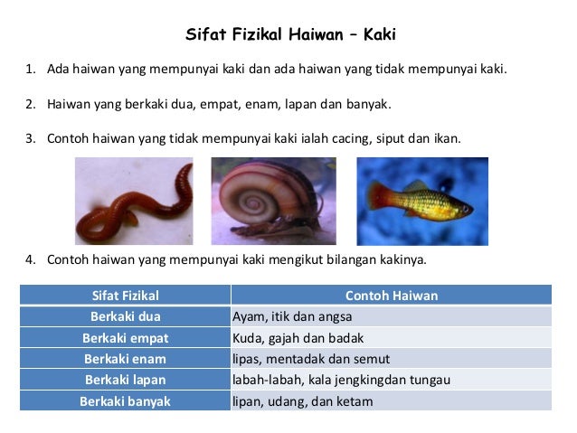 Sifat sifat fizikal haiwan2