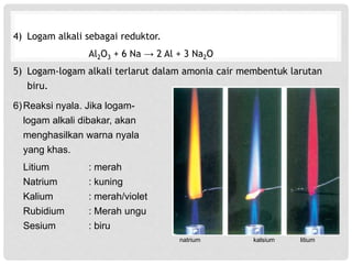 4) Logam alkali sebagai reduktor. 
Al2O3 + 6 Na → 2 Al + 3 Na2O 
5) Logam-logam alkali terlarut dalam amonia cair membentuk larutan 
biru. 
6)Reaksi nyala. Jika logam-logam 
alkali dibakar, akan 
menghasilkan warna nyala 
yang khas. 
Litium : merah 
Natrium : kuning 
Kalium : merah/violet 
Rubidium : Merah ungu 
Sesium : biru 
natrium kalsium litium 
 