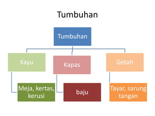 Tumbuhan 
Tumbuhan 
Kayu 
Meja, kertas, 
kerusi 
Kapas 
baju 
Getah 
Tayar, sarung 
tangan 
 