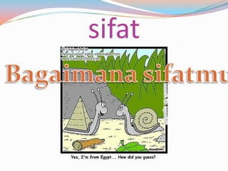 sifat
 