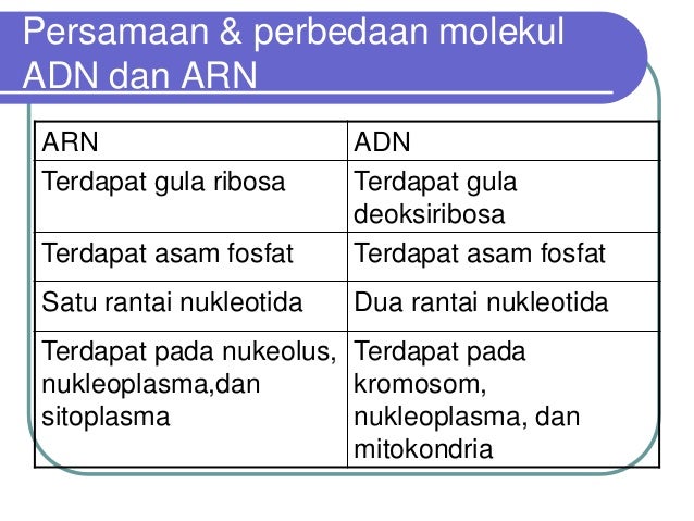 Biochemistry Sifat Kimia Protoplasma Biochemistry Sifat Kimia Protoplasma
