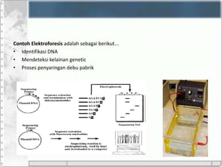 Contoh Elektroforesis adalah sebagai berikut...
• Identifikasi DNA
• Mendeteksi kelainan genetic
• Proses penyaringan debu pabrik
 