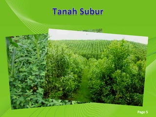 Tanah Subur