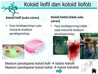 Koloid liofil dan koloid liofob
Koloid liofil (suka cairan)
• Fase terdispersinya suka
menarik medium
pendispersinya
Koloid liofob (tidak suka
cairan)
• Fase terdispersinya tidak
suka menarik medium
pendispersinya.
Medium pendispersi koloid liofil  koloid hidrofil
Medium pendispersi koloid liofob  koloid hidrofob
 