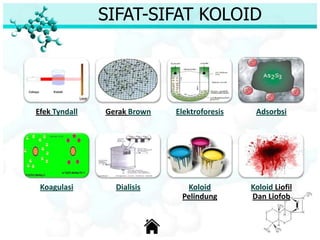 SIFAT-SIFAT KOLOID
Efek Tyndall Gerak Brown Elektroforesis Adsorbsi
Koagulasi Dialisis Koloid
Pelindung
Koloid Liofil
Dan Liofob
 