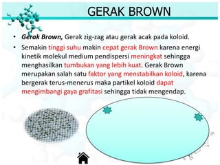 GERAK BROWN
• Gerak Brown, Gerak zig-zag atau gerak acak pada koloid.
• Semakin tinggi suhu makin cepat gerak Brown karena energi
kinetik molekul medium pendispersi meningkat sehingga
menghasilkan tumbukan yang lebih kuat. Gerak Brown
merupakan salah satu faktor yang menstabilkan koloid, karena
bergerak terus-menerus maka partikel koloid dapat
mengimbangi gaya grafitasi sehingga tidak mengendap.
 