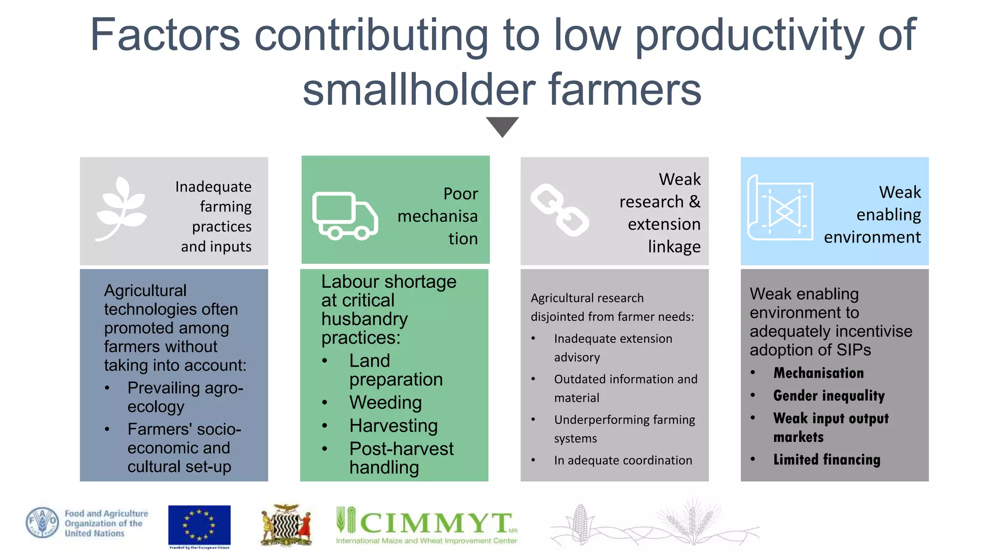 Sustainable Intensification of Smallholder Farming Systems in Zambia ...