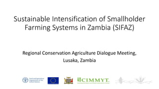 Sustainable Intensification of Smallholder
Farming Systems in Zambia (SIFAZ)
Regional Conservation Agriculture Dialogue Meeting,
Lusaka, Zambia
 