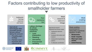 Sustainable Intensification of Smallholder Farming Systems in Zambia ...