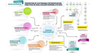 Sustainable Intensification of Smallholder Farming Systems in Zambia ...