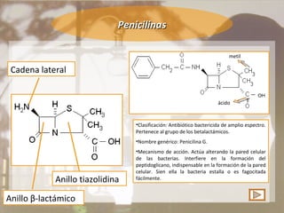 Penicilinas Anillo tiazolidina Anillo  β-lactámico Cadena lateral Clasificación: Antibiótico bactericida de amplio espectro. Pertenece al grupo de los betalactámicos. Nombre genérico: Penicilina G. Mecanismo de acción. Actúa alterando la pared celular de las bacterias. Interfiere en la formación del peptidoglicano, indispensable en la formación de la pared celular. Sien ella la bacteria estalla o es fagocitada fácilmente. OH ácido metil 