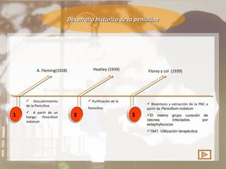 Desarrollo histórico de la penicilina A. Fleming(1928) Heatley (1939) Florey y col  (1939) Descubrimiento de la Penicilina A partir de un hongo:  Penicillum notatum Purificación de la Penicilina Biosíntesis y extracción de la PNC a partir de  Penicillum notatum El mismo grupo curación de ratones infectados por estaphylococos 1941. Utilización terapéutica 