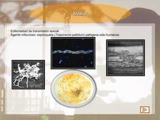 Médica Enfermedad de transmisión sexual . Agente infeccioso: espiroqueta ( Treponema pallidum ) patógena solo humanos. 