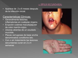 2. SÍFILIS SECUNDARIA: 
• Aparece de 2 a 6 meses después 
de la infección inicial. 
Características Clínicas: 
• Generalmente lesiones 
inflamatorias en cualquier órgano. 
• Erupción cutánea maculopapular 
de color marrón-rojizo. 
• Ulceras abiertas de un exudado 
mucoide. 
• Placas verrugosas de base ancha 
denominados condiloma lato. 
• Con o sin tratamiento las lesiones 
secundarias curan en 2 a 4 
semanas 
 
