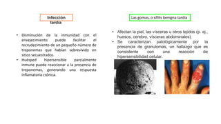 Infección
tardía
• Disminución de la inmunidad con el
envejecimiento puede facilitar el
recrudecimiento de un pequeño número de
treponemas que habían sobrevivido en
sitios secuestrados.
• Huésped hipersensible parcialmente
inmune puede reaccionar a la presencia de
treponemas, generando una respuesta
inflamatoria crónica.
Las gomas, o sífilis benigna tardía
• Afectan la piel, las vísceras u otros tejidos (p. ej.,
huesos, cerebro, vísceras abdominales).
• Se caracterizan patológicamente por la
presencia de granulomas, un hallazgo que es
consistente con una reacción de
hipersensibilidad celular.
 