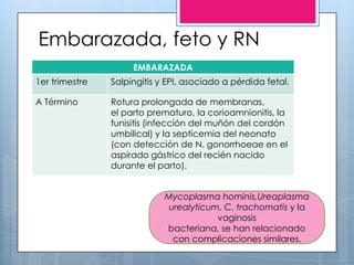 Infecciones de transmisión sexual | PPTX