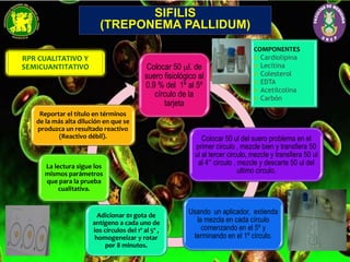 Colocar 50 l. de
suero fisiológico al
0.9 % del 1º al 5º
círculo de la
tarjeta
Colocar 50 ul del suero problema en el
primer circulo , mezcle bien y transfiera 50
ul al tercer circulo, mezcle y transfiera 50 ul
al 4° circulo , mezcle y descarte 50 ul del
ultimo circulo.
Usando un aplicador, extienda
la mezcla en cada círculo
comenzando en el 5º y
terminando en el 1º círculo.
Adicionar 01 gota de
antígeno a cada uno de
los círculos del 1º al 5º ,
homogeneizar y rotar
por 8 minutos.
La lectura sigue los
mismos parámetros
que para la prueba
cualitativa.
Reportar el título en términos
de la más alta dilución en que se
produzca un resultado reactivo
(Reactivo débil).
RPR CUALITATIVO Y
SEMICUANTITATIVO
COMPONENTES
 Cardiolipina
 Lecitina
 Colesterol
 EDTA
 Acetilcolina
 Carbón
SIFILIS
(TREPONEMA PALLIDUM)
 
