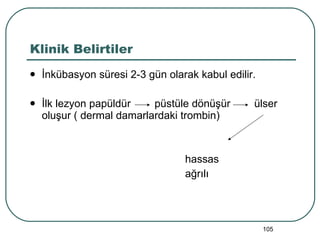 Klinik Belirtiler İnkübasyon süresi 2-3 gün olarak kabul edilir. İlk lezyon papüldür  püstüle dönüşür  ülser oluşur ( dermal damarlardaki trombin) hassas ağrılı 